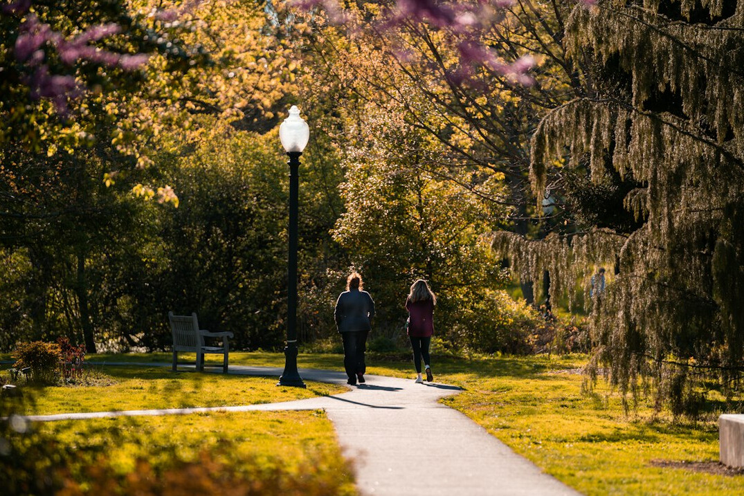 family walking in park